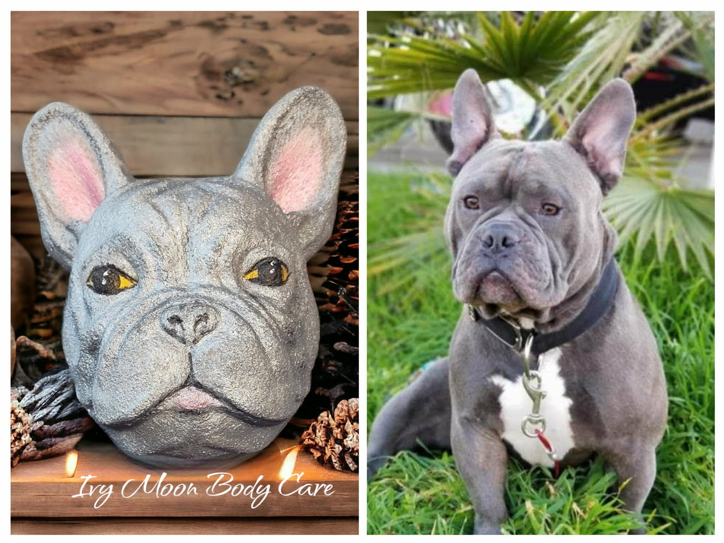 French Bulldog Bath Bomb