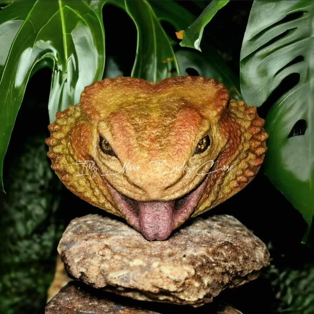 Bearded Dragon Bath Bomb